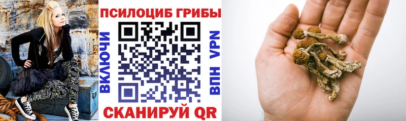 даркнет сайт  Кумертау  Псилоцибиновые грибы мухоморы 